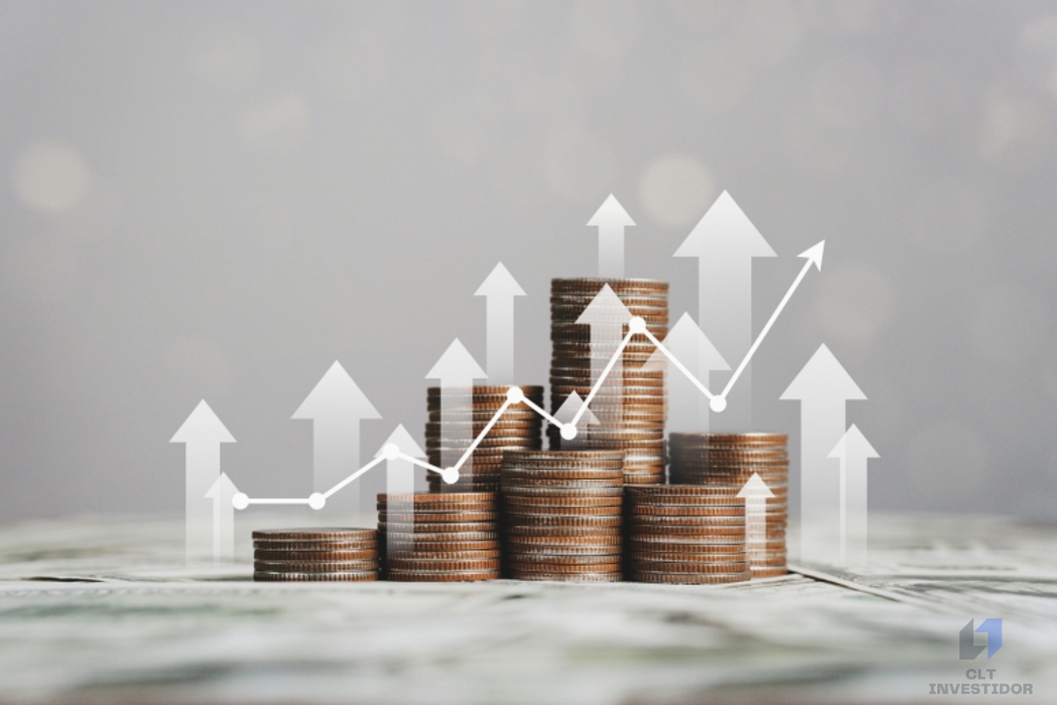 Como montar uma carteira de investimentos ideal?